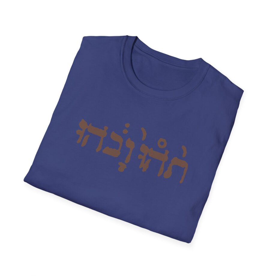 Godspeed You Black Emperor Unisex Softstyle T-Shirt