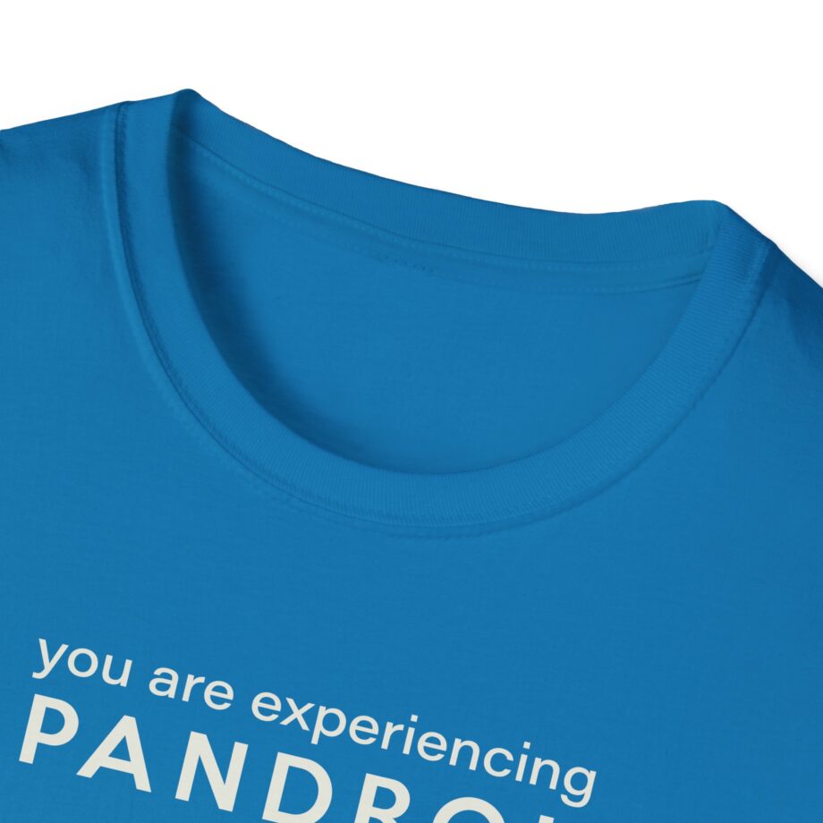 You Are Experiencing Japandroids Unisex Softstyle T-Shirt