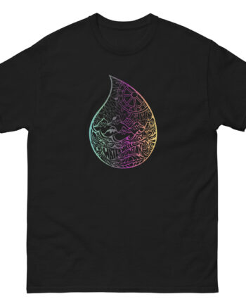 Phish Waterwheel Eco Unisex classic tee