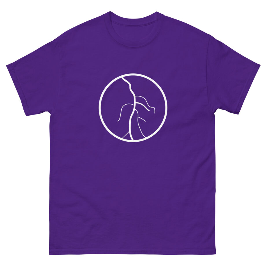 Calvin Harris Unisex classic tee