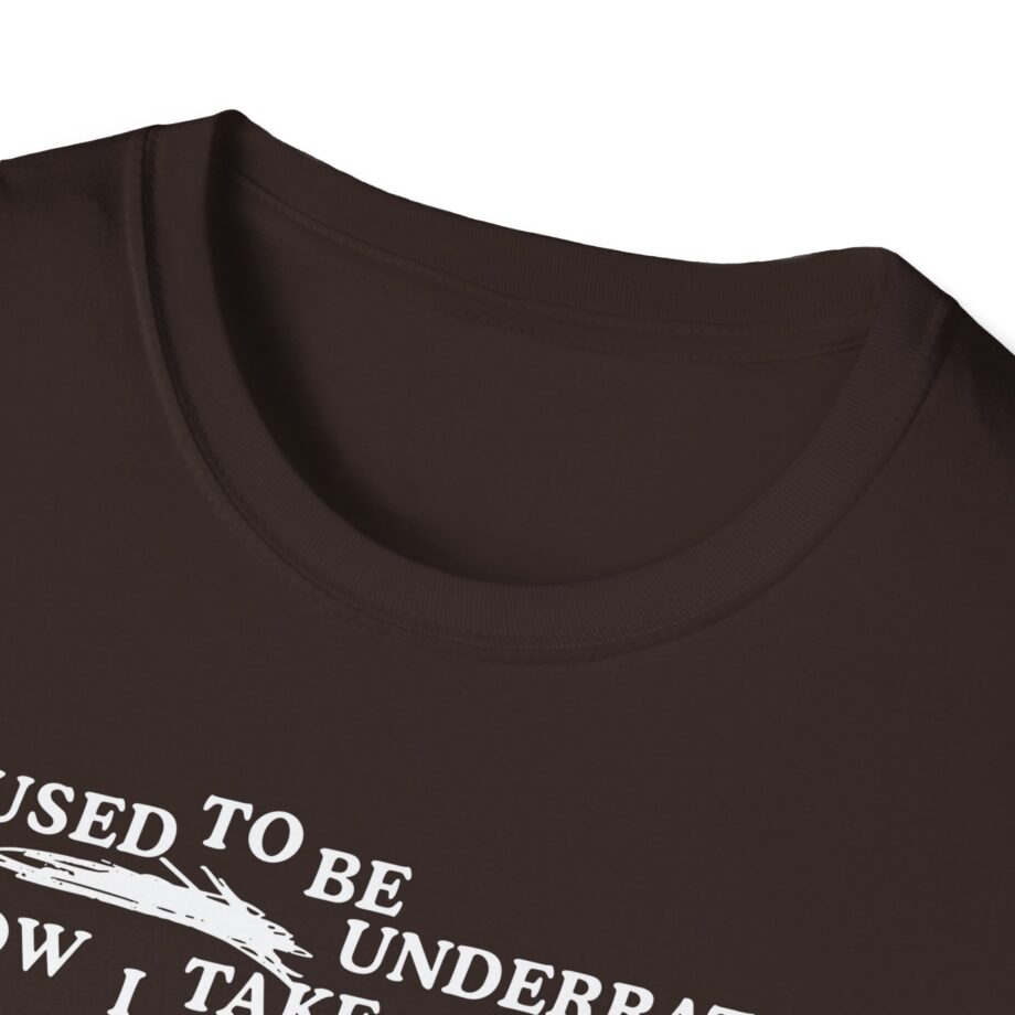 Lauryn Hill 26 Years Mis Ed Unisex Softstyle T-Shirt