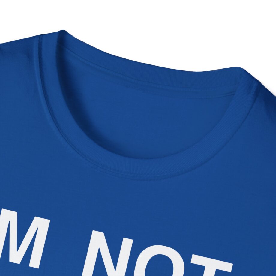 Ecco2k is Ecco2k I’m Not Gay but Unisex Softstyle T-shirt