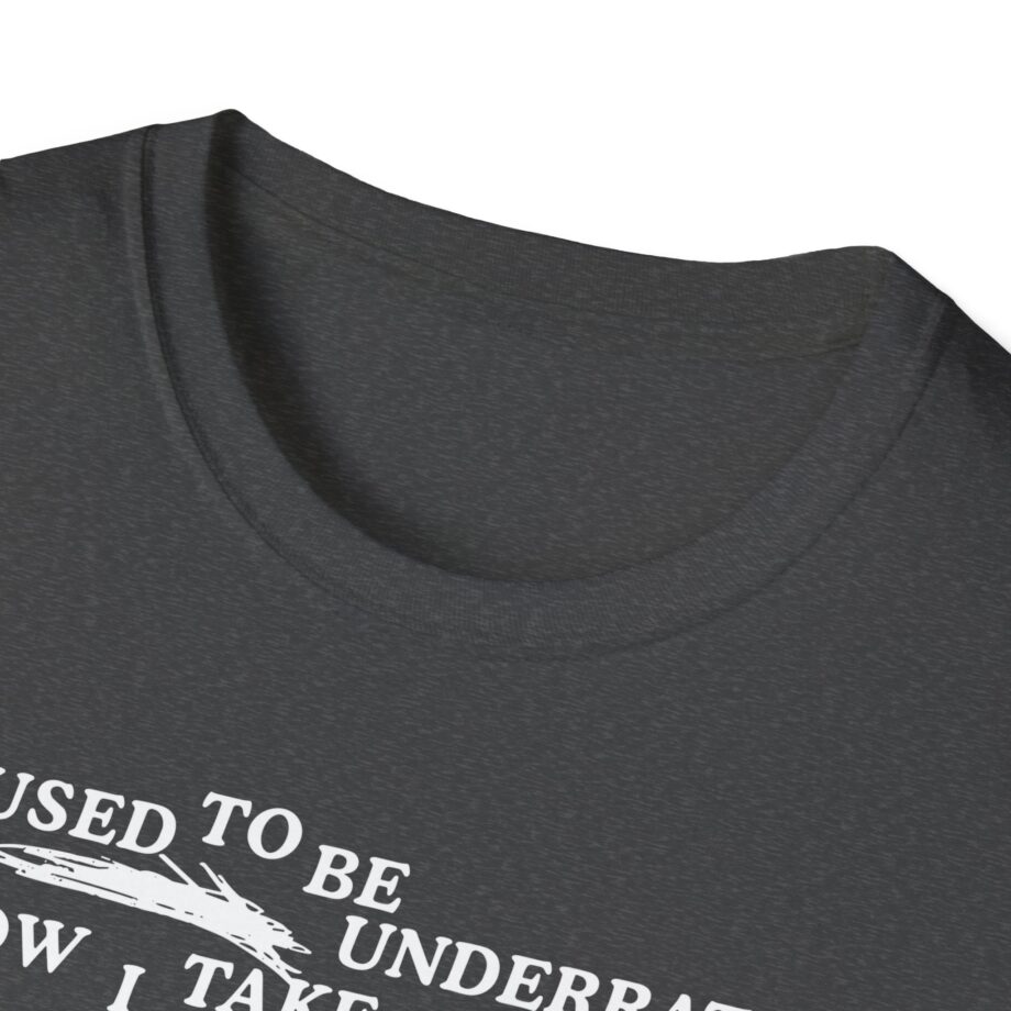 Lauryn Hill 26 Years Mis Ed Unisex Softstyle T-Shirt