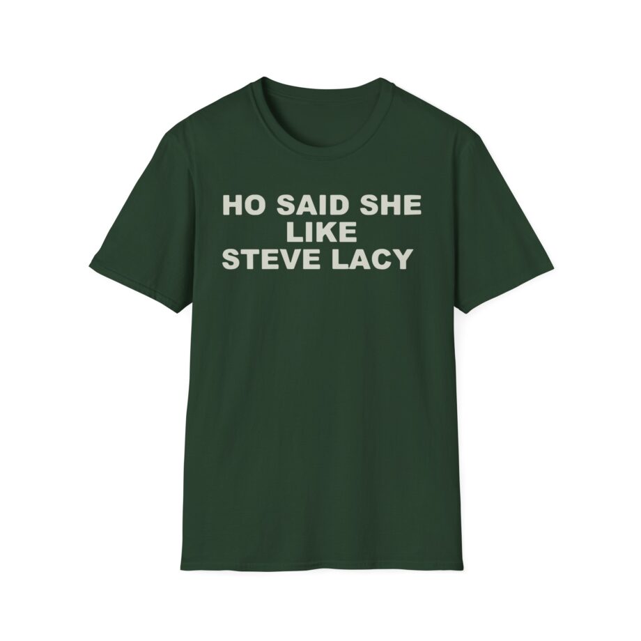 Ho Said She Like Steve Lacy Unisex Softstyle T-shirt