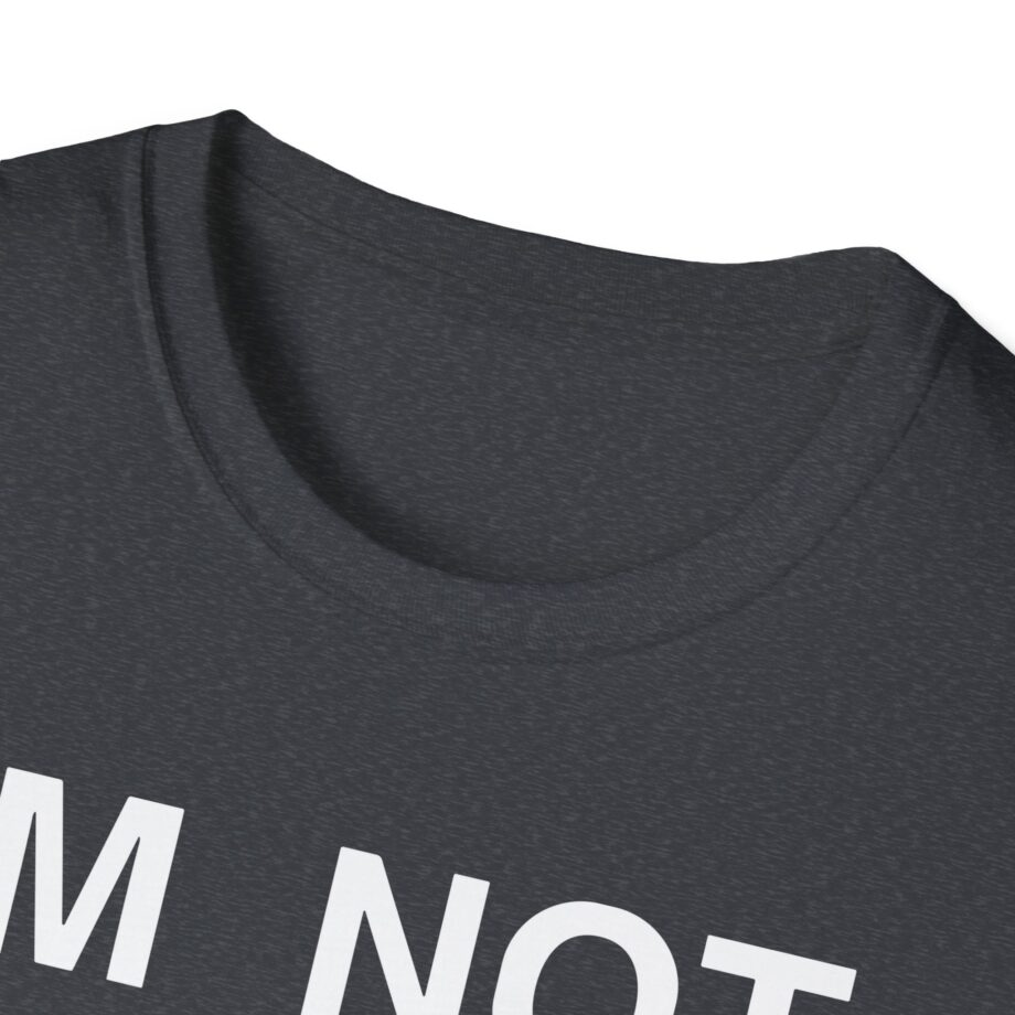 Ecco2k is Ecco2k I’m Not Gay but Unisex Softstyle T-shirt