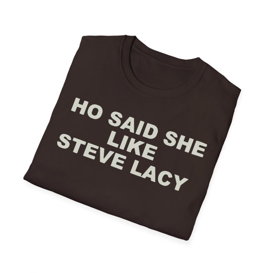 Ho Said She Like Steve Lacy Unisex Softstyle T-shirt