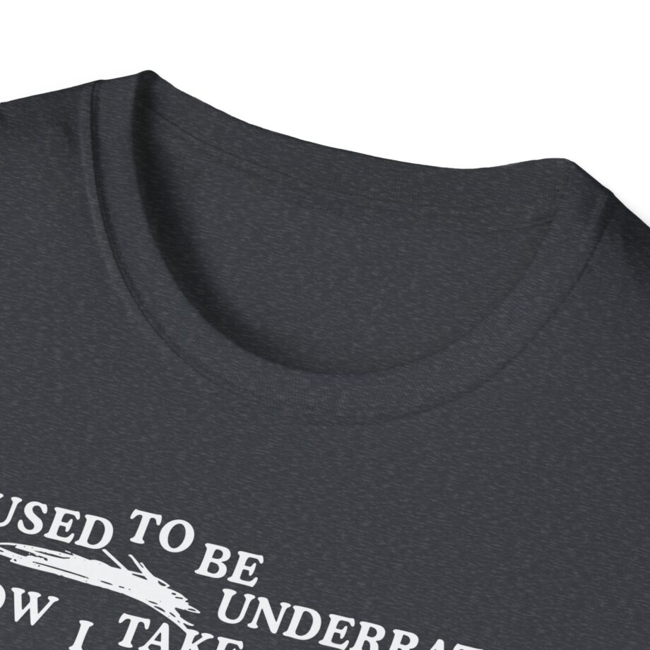 Lauryn Hill 26 Years Mis Ed Unisex Softstyle T-Shirt