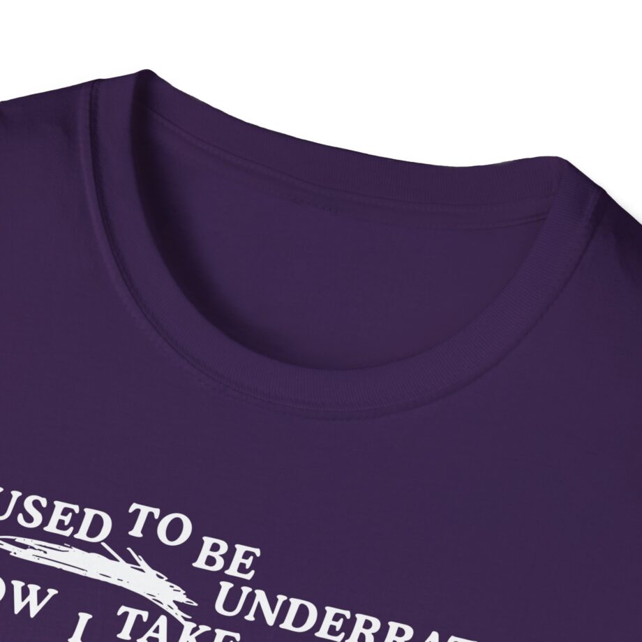 Lauryn Hill 26 Years Mis Ed Unisex Softstyle T-Shirt