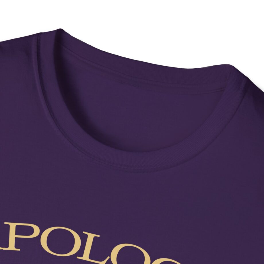 Wave to Earth Slchld 'apology' Na Tour Unisex Softstyle T-Shirt
