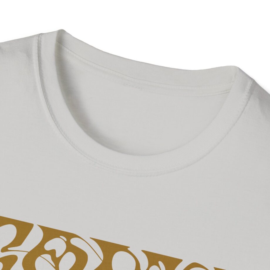 Tame Impala Roundabout Unisex Softstyle T-Shirt