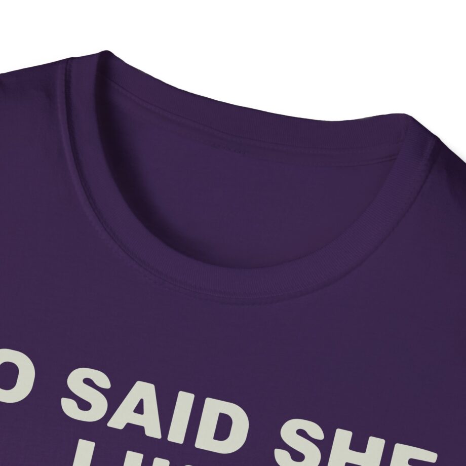 Ho Said She Like Steve Lacy Unisex Softstyle T-shirt