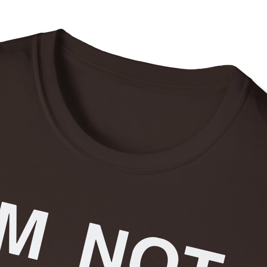 Ecco2k is Ecco2k I’m Not Gay but Unisex Softstyle T-shirt