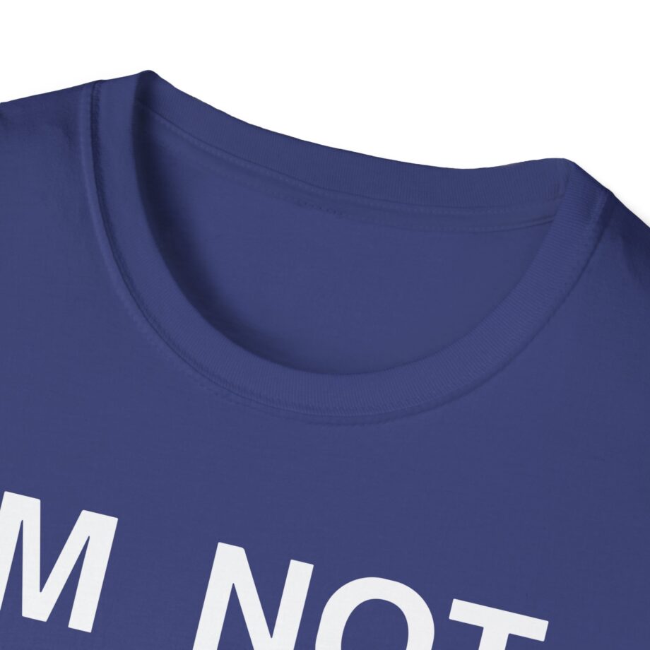 Ecco2k is Ecco2k I’m Not Gay but Unisex Softstyle T-shirt
