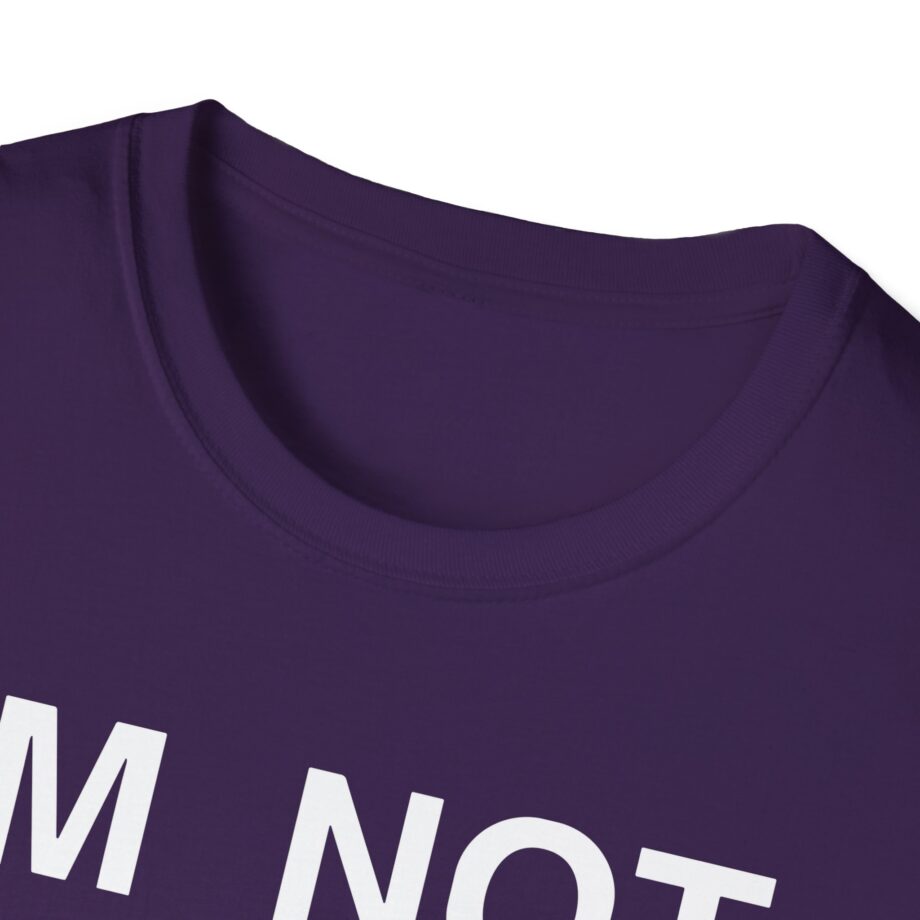 Ecco2k is Ecco2k I’m Not Gay but Unisex Softstyle T-shirt