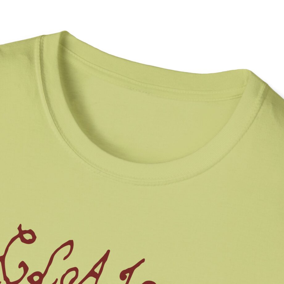 Clairo Charm  Unisex Softstyle T-Shirt