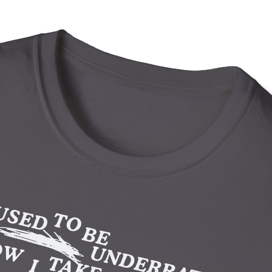 Lauryn Hill 26 Years Mis Ed Unisex Softstyle T-Shirt