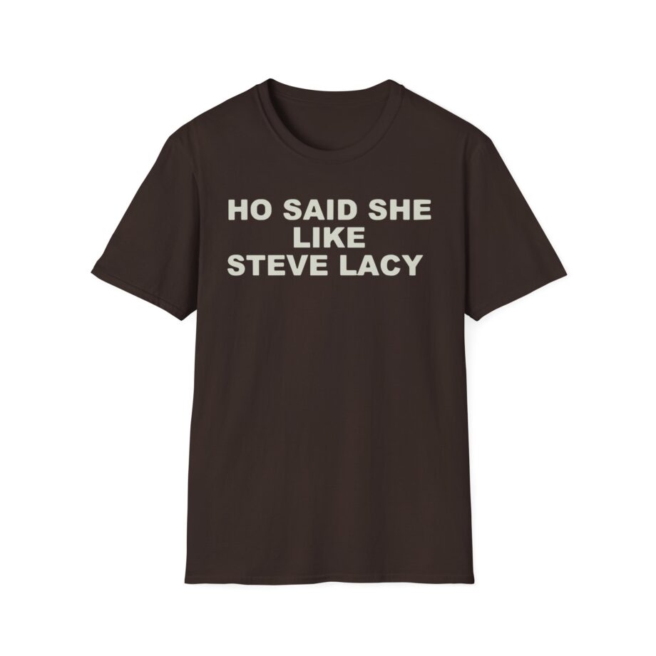 Ho Said She Like Steve Lacy Unisex Softstyle T-shirt