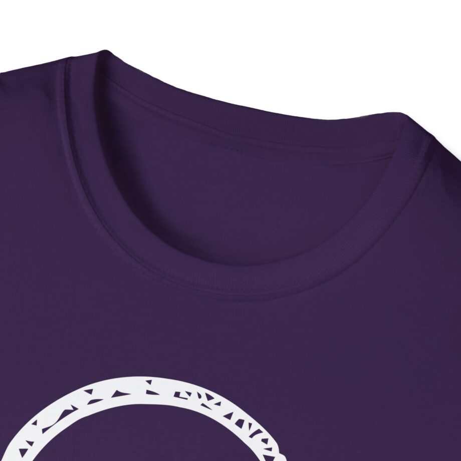 Pvris Mirror Unisex Softstyle T-Shirt