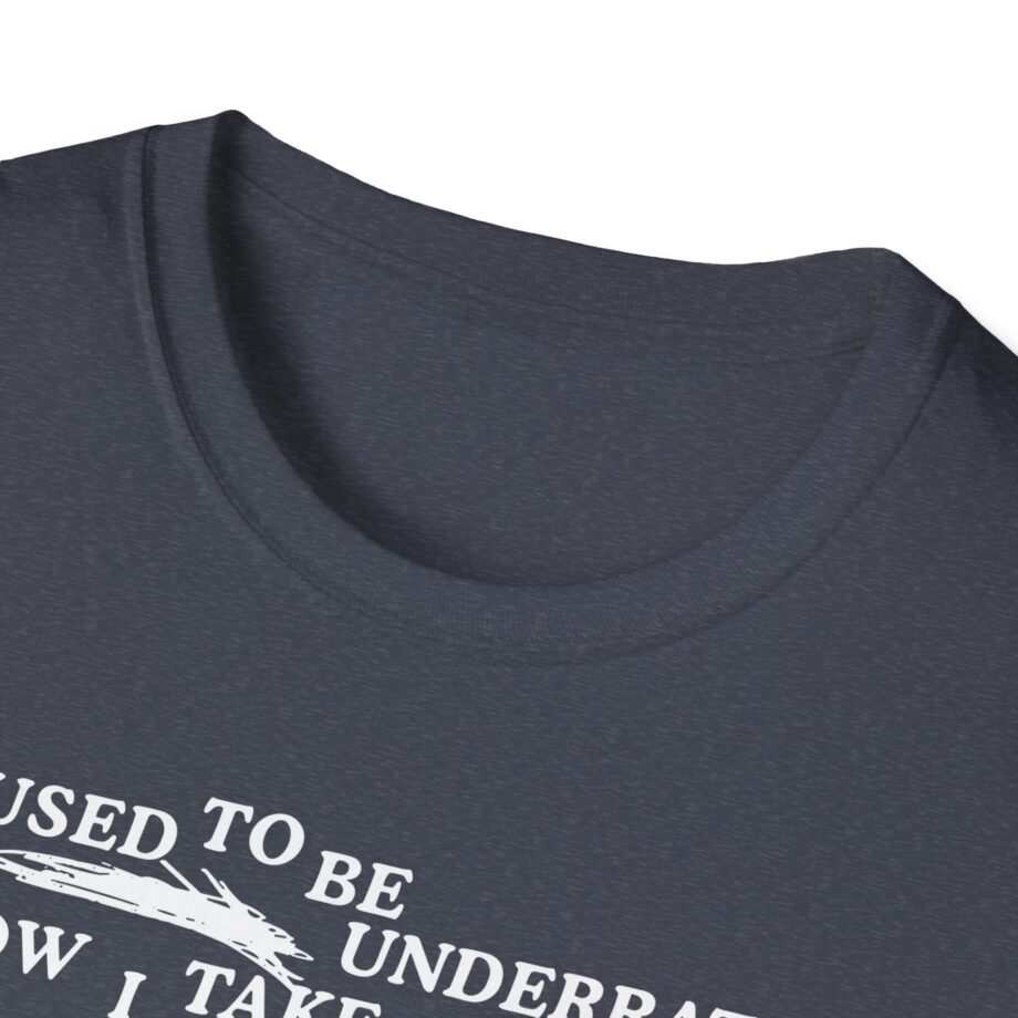 Lauryn Hill 26 Years Mis Ed Unisex Softstyle T-Shirt