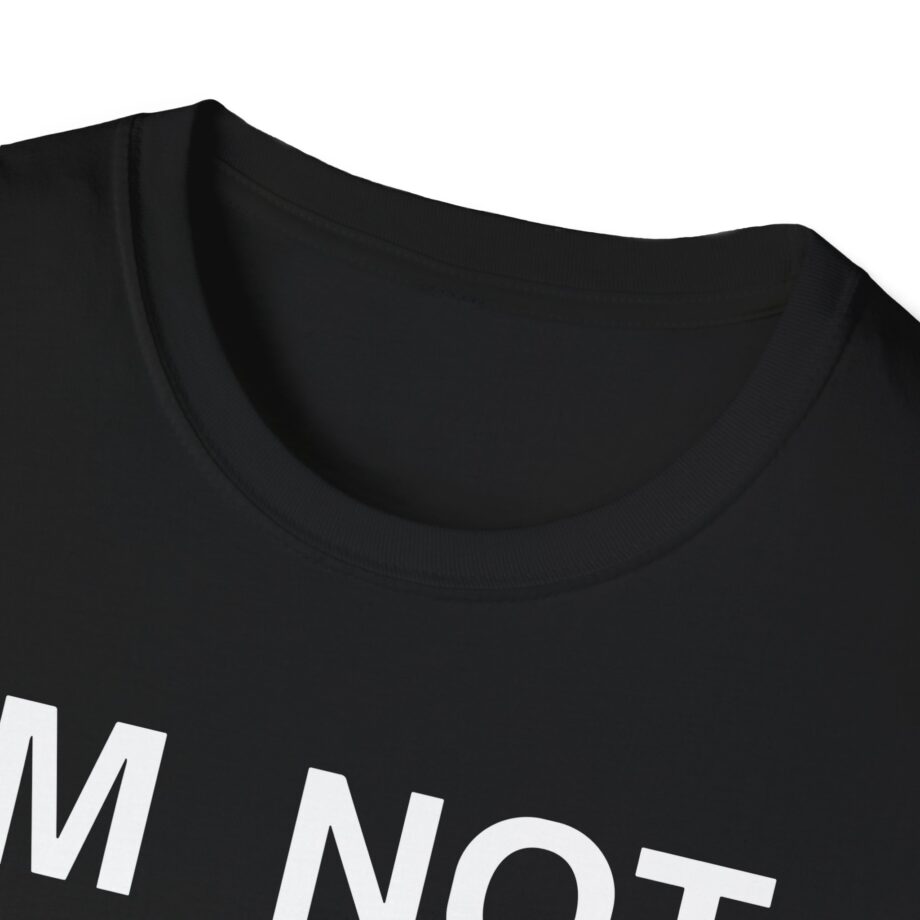 Ecco2k is Ecco2k I’m Not Gay but Unisex Softstyle T-shirt