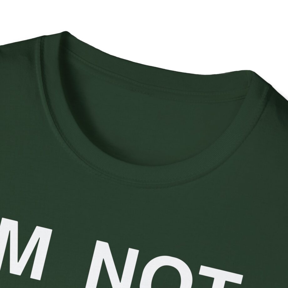 Ecco2k is Ecco2k I’m Not Gay but Unisex Softstyle T-shirt
