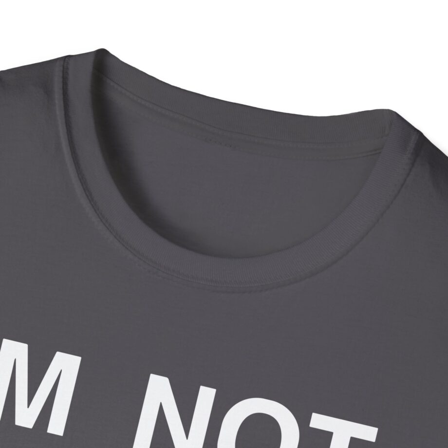 Ecco2k is Ecco2k I’m Not Gay but Unisex Softstyle T-shirt