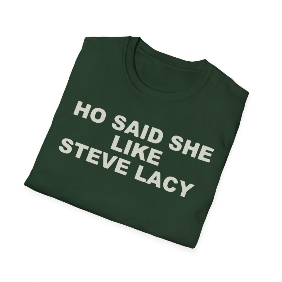 Ho Said She Like Steve Lacy Unisex Softstyle T-shirt