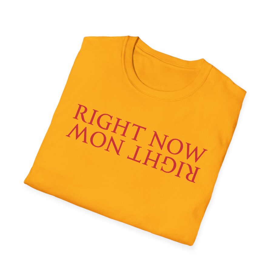 Haim Right Now Unisex Softstyle T-shirt