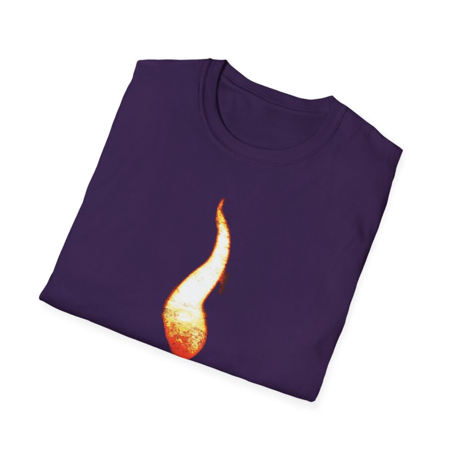 Flyleaf Flame Unisex Softstyle T-shirt