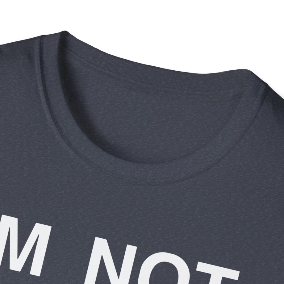 Ecco2k is Ecco2k I’m Not Gay but Unisex Softstyle T-shirt