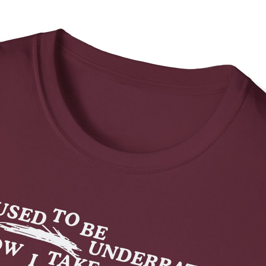 Lauryn Hill 26 Years Mis Ed Unisex Softstyle T-Shirt