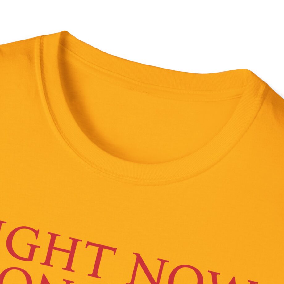 Haim Right Now Unisex Softstyle T-shirt