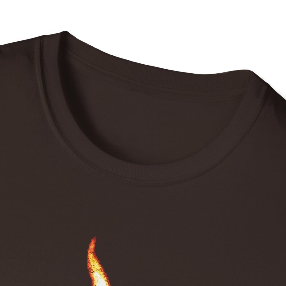 Flyleaf Flame Unisex Softstyle T-shirt