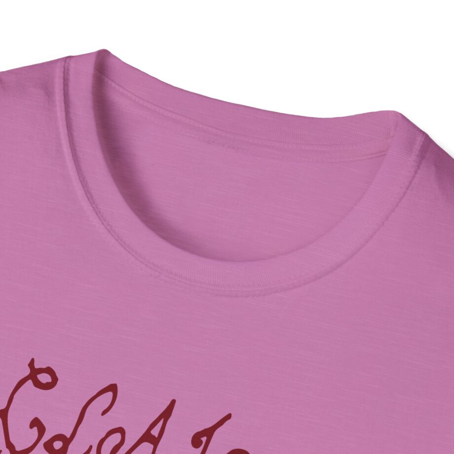 Clairo Charm  Unisex Softstyle T-Shirt