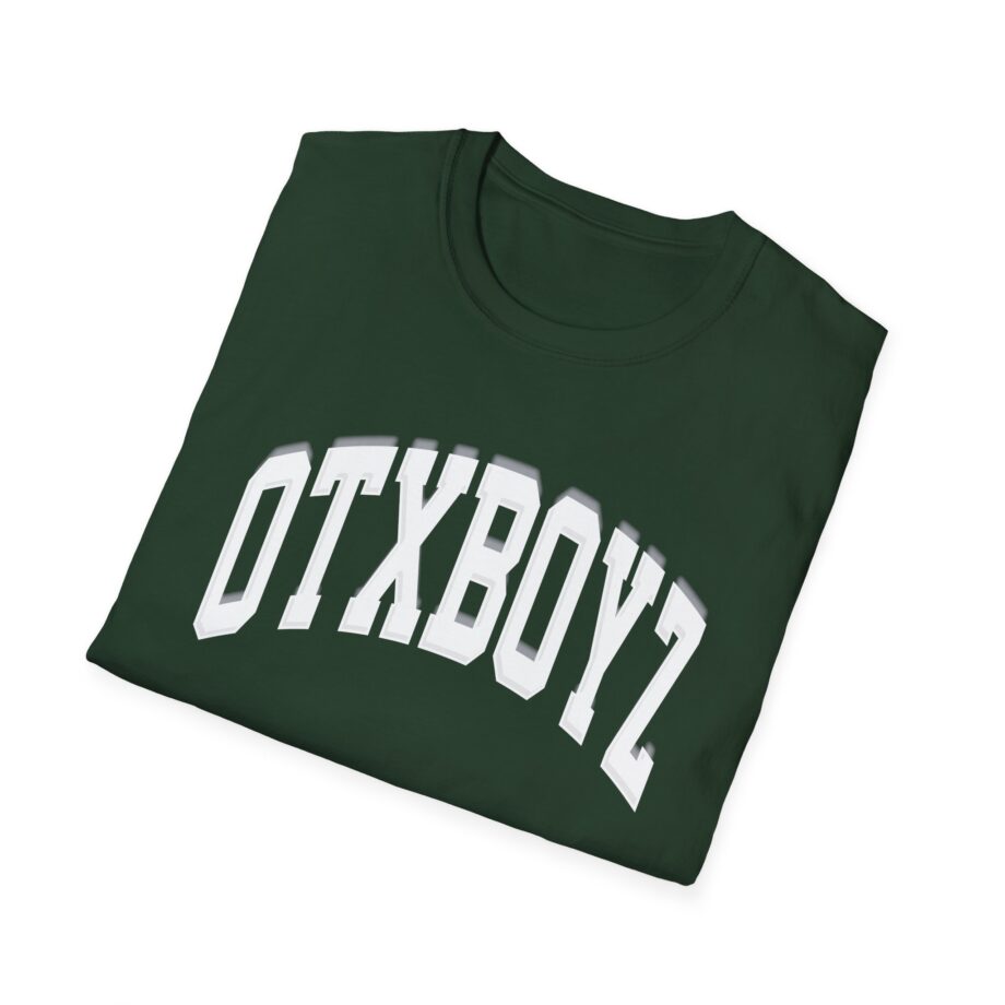 Ohgeesy Vintage College Unisex Softstyle T-shirt