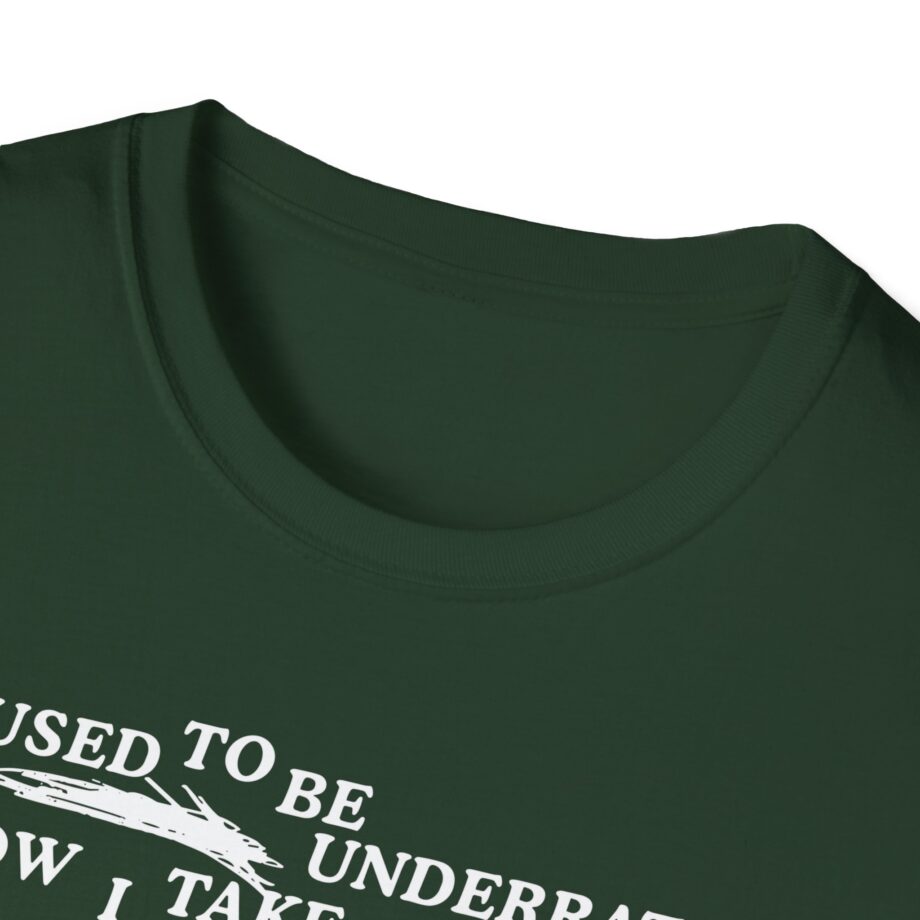 Lauryn Hill 26 Years Mis Ed Unisex Softstyle T-Shirt