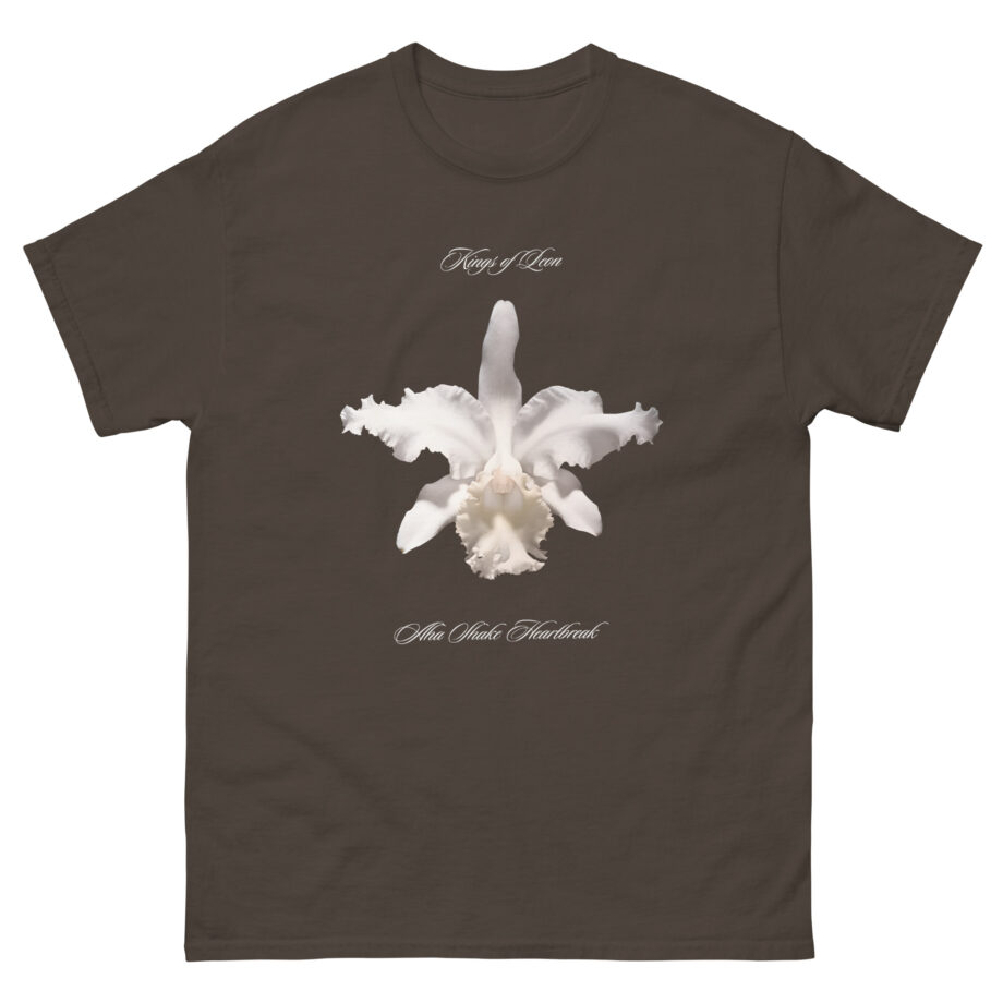 Kings of Leon Aha Shake Unisex classic tee