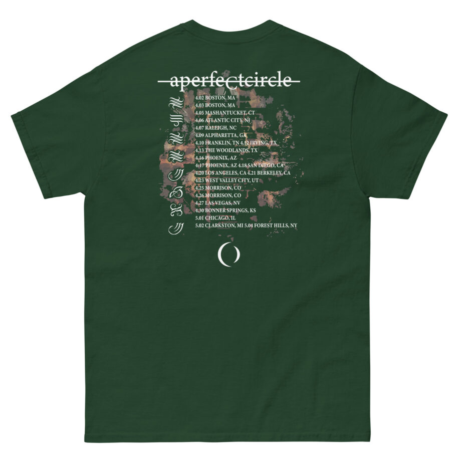 A Perfect Circle Yggdrasil Itin Unisex classic tee