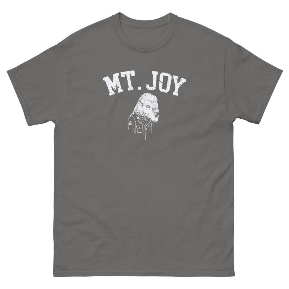 Mt. Joy Buffalo Unisex classic tee