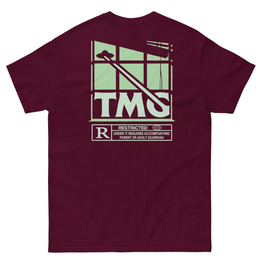 Trillionaire Mindset Abduction Unisex classic tee