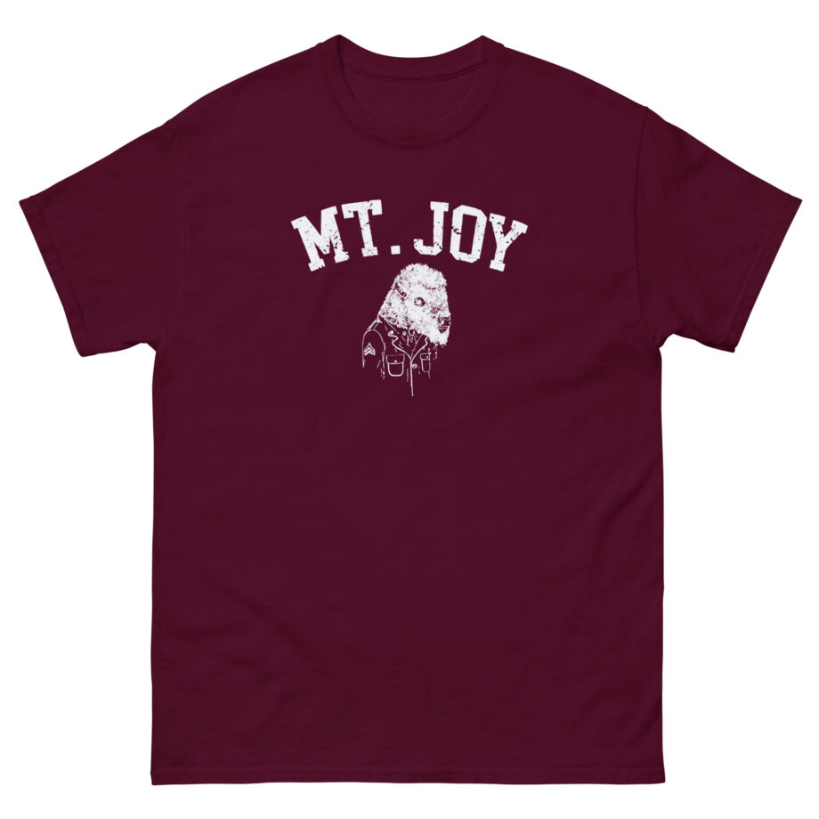 Mt. Joy Buffalo Unisex classic tee