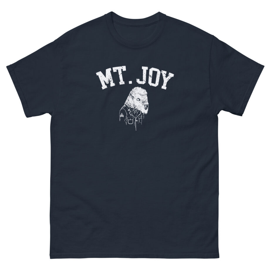 Mt. Joy Buffalo Unisex classic tee