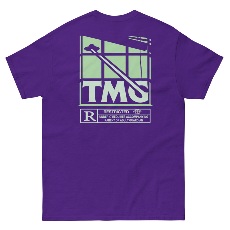 Trillionaire Mindset Abduction Unisex classic tee